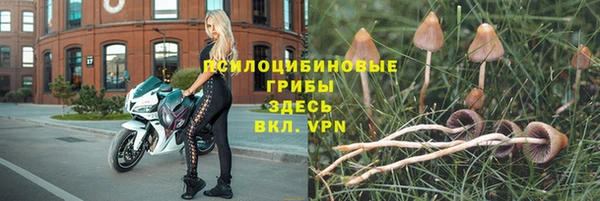 а пвп мука Армянск