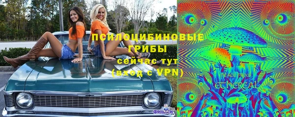 СК Арсеньев
